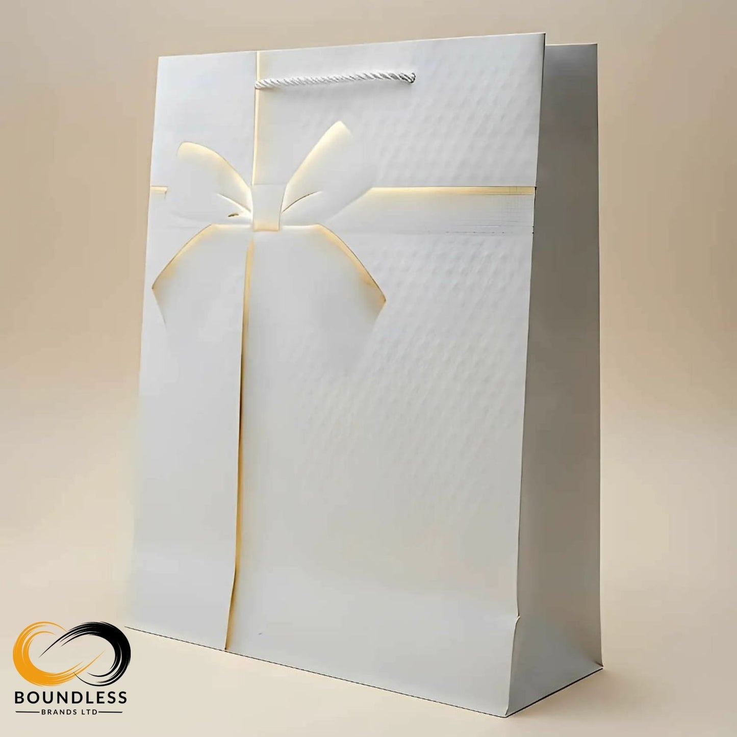 Premium Paper Gift Bags